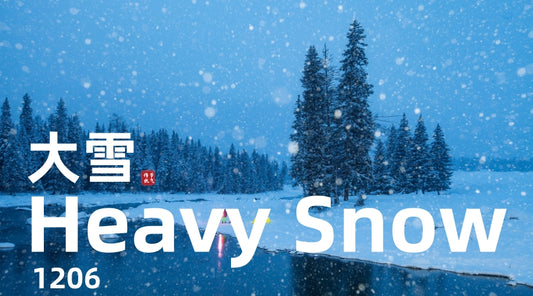 Heavy Snow: 3 Essential Winter Wellness Tips