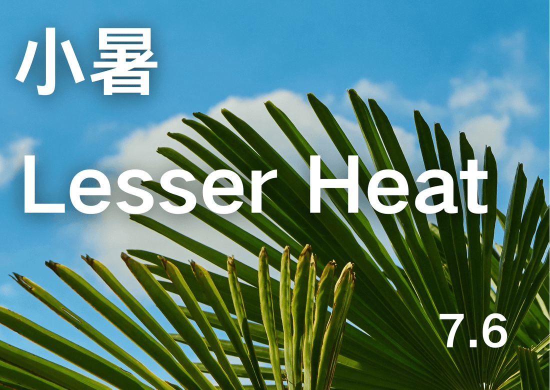  Midsummer is Here: Preparing for Lesser Heat in the 24 Solar Terms